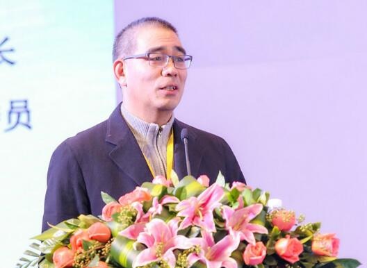 王涌彬：把改善人居环境作为乡村振兴的抓手