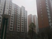 小区图