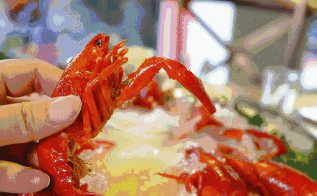 3.gif